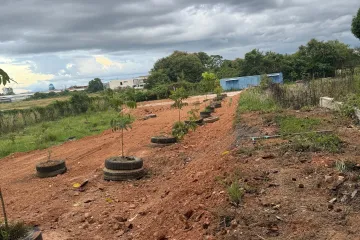 Land for sale in Sateng, Yala