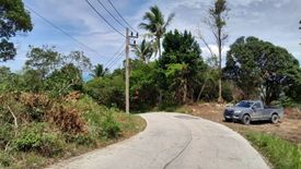 Land for sale in Mae Nam, Surat Thani