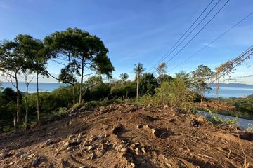 Land for sale in Mae Nam, Surat Thani