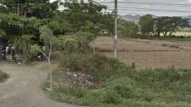 Land for sale in Dok Khamtai, Phayao