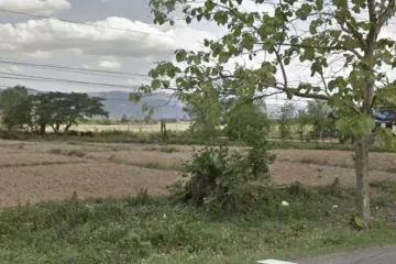 Land for sale in Dok Khamtai, Phayao