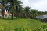 Land for sale in Si Sunthon, Phuket