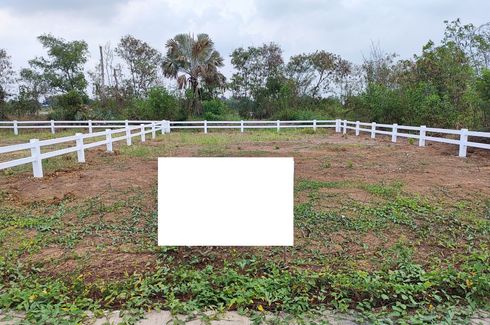 Land for sale in Ko Rian, Phra Nakhon Si Ayutthaya