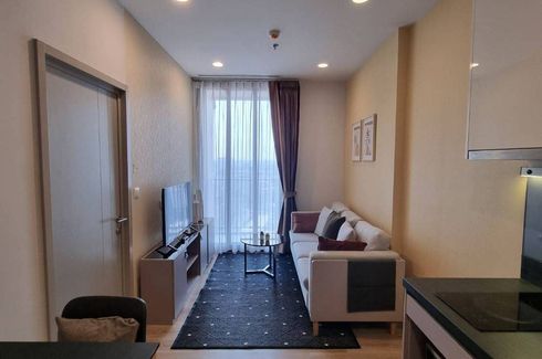 1 Bedroom Condo for rent in OKA HAUS Sukhumvit 36, Khlong Tan, Bangkok near BTS Thong Lo