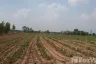 Land for sale in Khu Mueang, Buriram