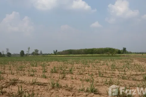 Land for sale in Khu Mueang, Buriram