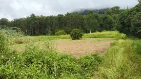 Land for sale in Doi Ngam, Chiang Rai