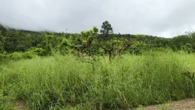 Land for sale in Doi Ngam, Chiang Rai