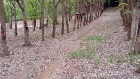 Land for sale in Chiang Klom, Loei