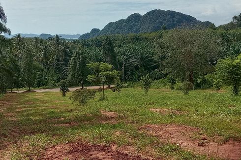 Land for sale in Nong Thale, Krabi