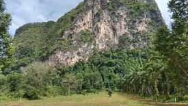 Land for sale in Nong Thale, Krabi