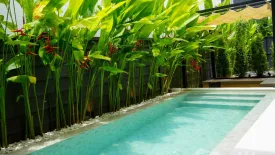 3 Bedroom Villa for sale in Aileen Villas, Sakhu, Phuket