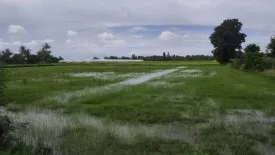 Land for sale in Nong Ya Sai, Suphan Buri