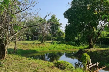 Land for sale in Huai Sak, Chiang Rai