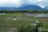 Land for sale in Chiang Dao, Chiang Mai
