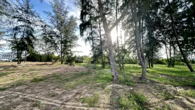 Land for sale in Phong Prasat, Prachuap Khiri Khan