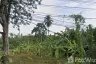 Land for sale in Mai Khao, Phuket