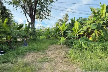 Land for sale in Mai Khao, Phuket