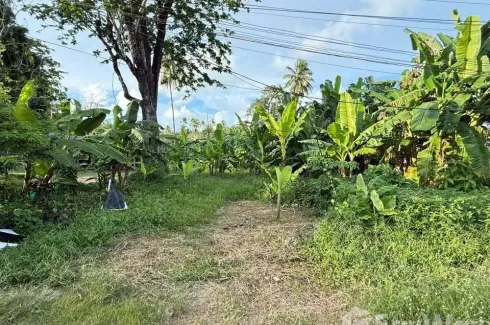 Land for sale in Mai Khao, Phuket