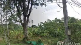 Land for sale in Mai Khao, Phuket