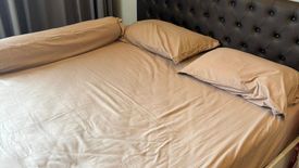 1 Bedroom Condo for rent in Ideo Q Victory, Thanon Phaya Thai, Bangkok near BTS Victory Monument