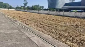 Land for sale in Huai Yai, Chonburi