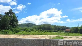 Land for sale in Si Sunthon, Phuket
