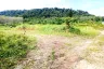 Land for sale in Si Sunthon, Phuket