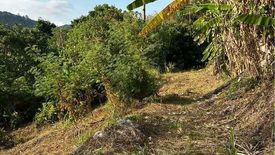 Land for sale in Rawai, Phuket