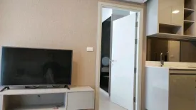 1 Bedroom Condo for rent in Quintara Treehaus Sukhumvit 42, Phra Khanong, Bangkok near BTS Ekkamai