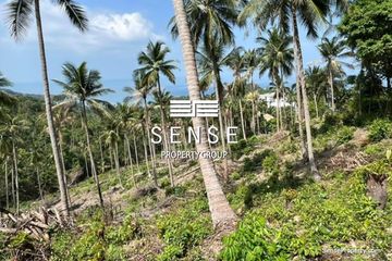 Land for sale in Ko Pha-ngan, Surat Thani
