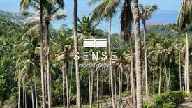 Land for sale in Ko Pha-ngan, Surat Thani