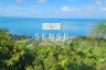 Land for sale in Ko Pha-ngan, Surat Thani