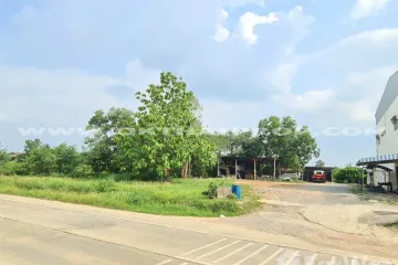 Land for sale in Nong Yai, Chonburi