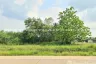 Land for sale in Nong Yai, Chonburi