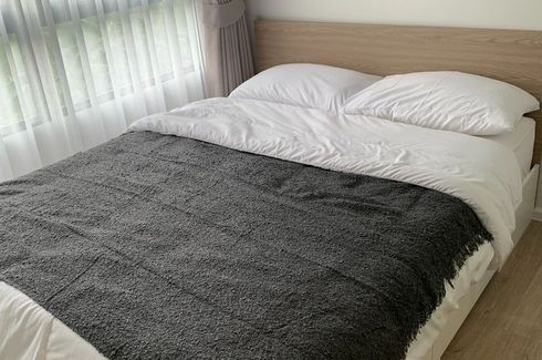 1 Bedroom Condo for rent in iCondo Activ Phattanakan, Suan Luang, Bangkok