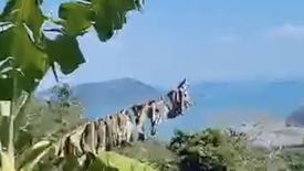 Land for sale in Mai Khao, Phuket