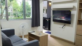 1 Bedroom Condo for rent in My Condo Sukhumvit 81, Bang Chak, Bangkok near BTS On Nut