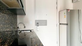 1 Bedroom Condo for rent in THE BASE Sukhumvit 50, Phra Khanong, Bangkok near BTS On Nut