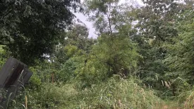 Land for sale in Ban Pong, Lampang