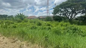 Land for sale in San Kamphaeng, Chiang Mai