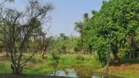 Land for sale in Huai Sak, Chiang Rai