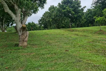 Land for sale in Huai Sak, Chiang Rai