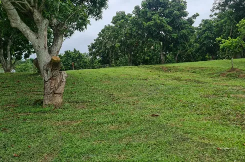 Land for sale in Huai Sak, Chiang Rai