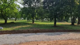 Land for sale in Huai Sak, Chiang Rai