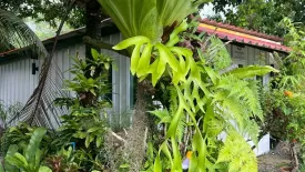 House for rent in Chalong, Phuket