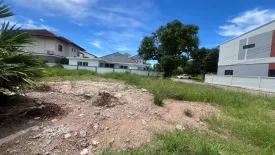 Land for sale in Nong Prue, Chonburi