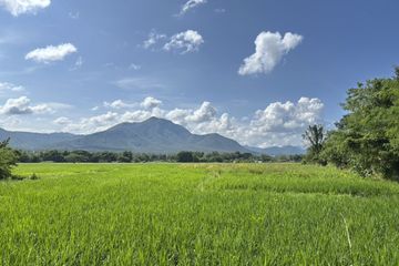 Land for sale in On Klang, Chiang Mai