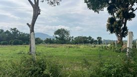 Land for sale in Mae Nam, Surat Thani