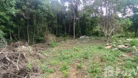 Land for sale in Mae Nam, Surat Thani